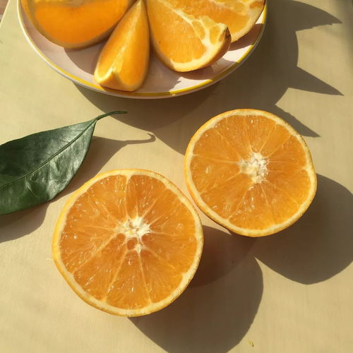 橙心为你，科技赋能——聚焦心橙科技商城“脐橙免费送”活动