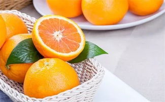 橙心橙意，碧桂园新年派橙 科技引领，品味创新吃橙新高度