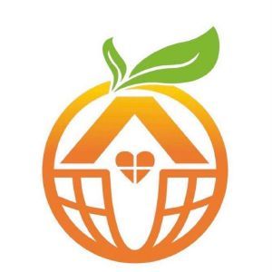 心橙科技 以数字桥梁连接智慧未来
