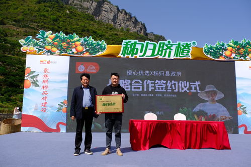 乡村振兴垄上行，秭归脐橙齐开园——心橙科技助力产业振兴
